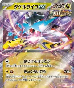 ポケモンカード　構築済みデッキ タケルライコex