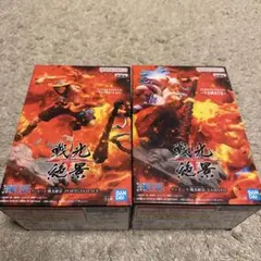 戦光純景 YAMATO & PORTGAS D. ACE フィギュアセット