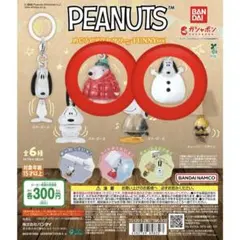 PEANUTS めじるしアクセサリー　スヌーピー2点セット