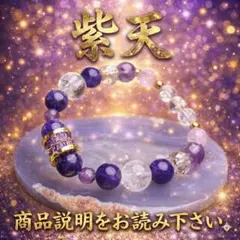 未使用 ラド・コリエ ラドンホルミシスブレスレット S925 お洒落に健康 