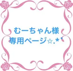 むーちゃん様専用ページ✩.*˚