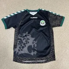 Item thumbnail for item ea8136e4-b48c-448b-ab24-60a435551e45