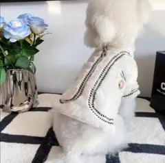 Item thumbnail for item 8b69631e-3c93-4c85-8df0-6c3edb3acb71