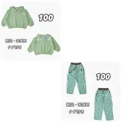 しまむら ディズニーリトシー ピーターパン トレーナー パンツ 上下 100