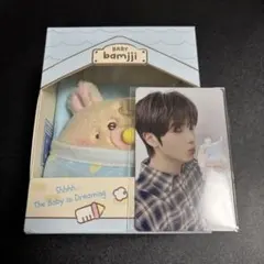 NCTDREAM ヘチャン Dreamiez baby ぬいぐるみ トレカ付き NCTDREAM ヘチャン Dreamiez baby ぬいぐるみ トレカ付き - メルカリ