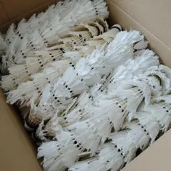 Item thumbnail for item f2e50769-3338-4586-9e70-61167eb22022