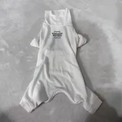 Item thumbnail for item 4e05bc93-ed0a-4b44-b95f-bdcfa7fc3cc9