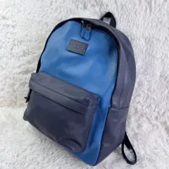 【新品未使用】COACH コーチ オールレザー リュック ブルー 廃盤のサムネイル