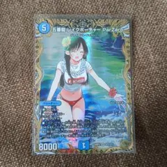 【らくらくメルカリ便】レイクポーチャー　金トレジャー　宮島礼吏　水原千鶴 らくらくメルカリ便】レイクポーチャー 金トレジャー 宮島礼吏