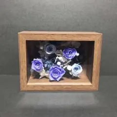 Item thumbnail for item 2ed7fec1-148c-40d5-af35-e19e744c06f1