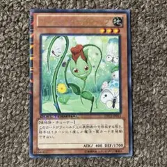 ナチュルローズウィップ 字レア DT デュエルターミナル