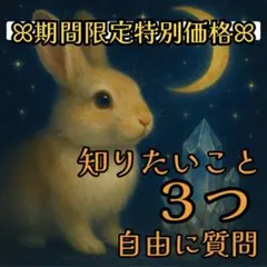 知りたいこと3つꕤ深掘りチャット鑑定⟡ ࣪