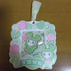 TWICE カードホルダー ジョンヨン