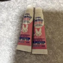 DENT. Check-Up kodomo 歯磨き粉 試供品 2本セット