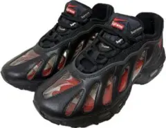 Supreme Air Max 96 ブラック/レッド