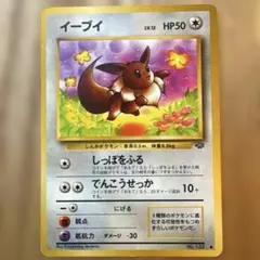 イーブイ ● 第2弾拡張パック ポケモンジャングル