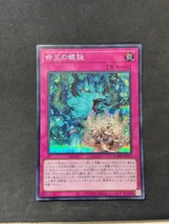 遊戯王 命王の螺旋　シークレット