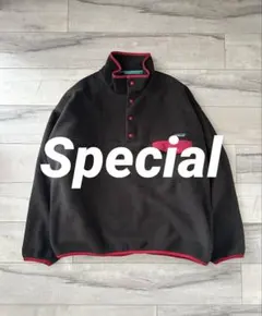 【良配色】patagonia シンチラ スナップT ダークブラウン パタゴニア