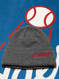 ANTIHERO ニット帽 グレー