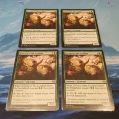 ◆MTG　導路の召使い　英語版　4枚セット品