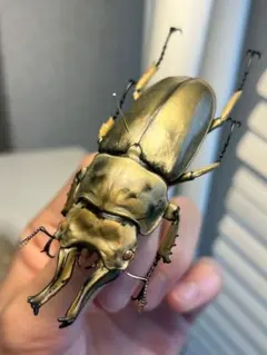 ウルトラマンタロウ ウルフ777 1/43 スカイネット 青島文化教材社