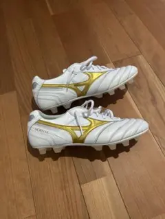 2026年最新】モレリア24.5の人気アイテム - メルカリ