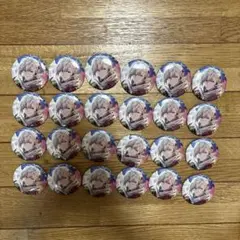 棗巳波 ブラホワ 缶バッジ 24個