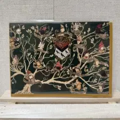 【新品】ハリーポッター ブラック家の家系図 グリーティングカードのサムネイル
