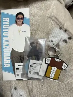 2026年最新】数原龍友の人気アイテム - メルカリ