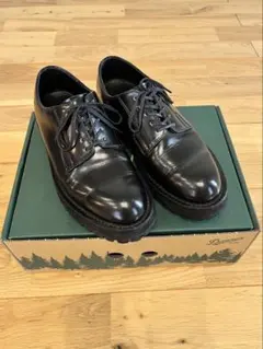 N.ハリウッドコンパイル×ダナー ポストマンシューズ27cm 新品同様品