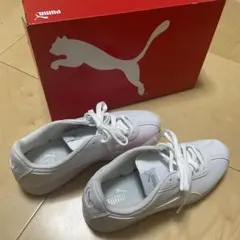 Item thumbnail for item 813cc333-588b-4331-bfc9-1b1696c4943b