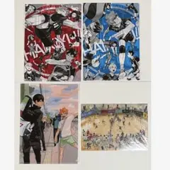 ハイキュー　クリアファイル　下敷き　宮城県予選　春高本戦