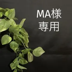 Item thumbnail for item c36539b5-06be-473a-906f-d5b7b319d3ad