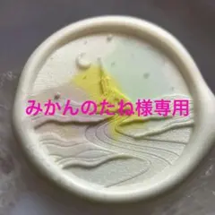 みかんのたね様 リクエスト 3点 まとめ商品