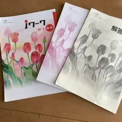 Item thumbnail for item a908c16a-6209-41d0-82b9-9714f59d7d8b