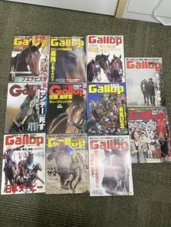 週刊Gallop ギャロップ 臨時増刊 さらば皇帝 シンボリルドルフ 競馬