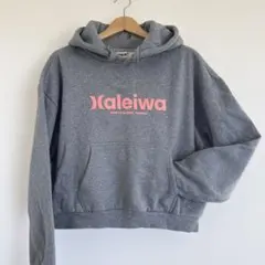 Hurley SURF N SEA　コラボ　ショートパーカー　Haleiwaのサムネイル