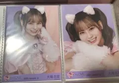 LOVE 大場花菜 生写真 猫衣装 コンプ+1 - メルカリ