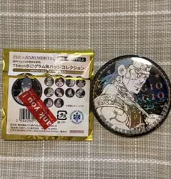 ジョジョワールド　ホログラム缶バッジ　5部　ポルナレフ