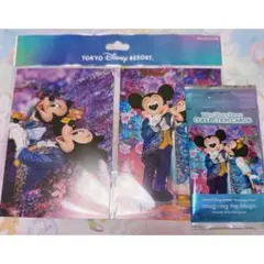 ディズニー イマジニングザマジック コレクションカード ポストカード セット