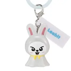SKZOOめじるしアクセサリー　Lee know　リノ　Leebit　リービットのサムネイル