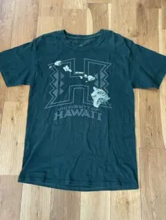 University of Hawaii Tシャツ Mサイズ ヘインズ