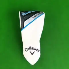 Item thumbnail for item 195ea1cd-3679-402d-b300-cb17d9718ad8