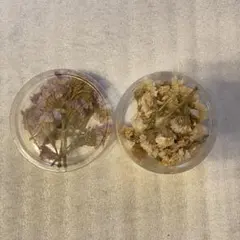 ドライフラワーパーツ　2個セットのサムネイル