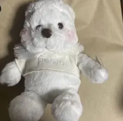 Item thumbnail for item 4a21ce3b-6b2b-422f-955e-d2bf7fac3252