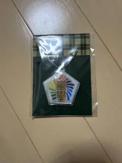 嵐 嵐學 キーホルダー ライト付き