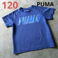 ☆120 PUMA ネイビー Tシャツ ジャージ ロゴ スポーツ 運動 速乾性☆