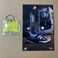 Item thumbnail for item 0508b6c7-fc4b-478d-9faa-0f2c36700087