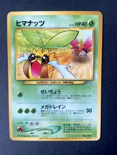2026年最新】ヒマナッツの人気アイテム - メルカリ