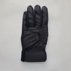 Item thumbnail for item 312bab3e-4e57-4fca-b1a9-a42f4d59396e